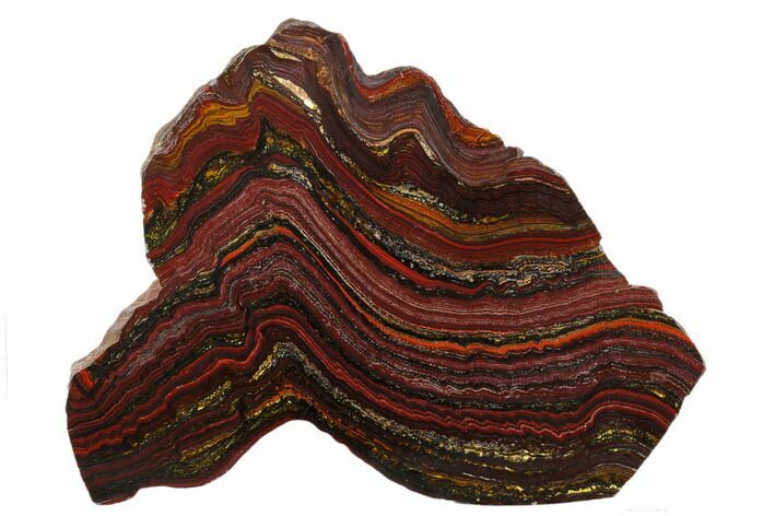 Polished Tiger Iron Stromatolite Slab - Billion Years #178766